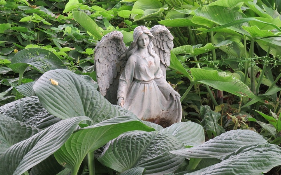 Hawkins-Angel statue