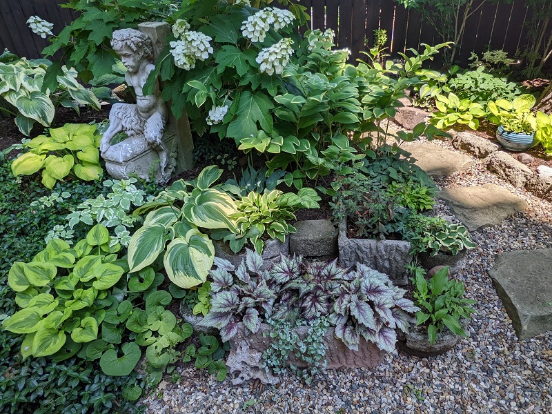 Smith-Pan statue, Oakleaf Hydrangea, potted plantings
