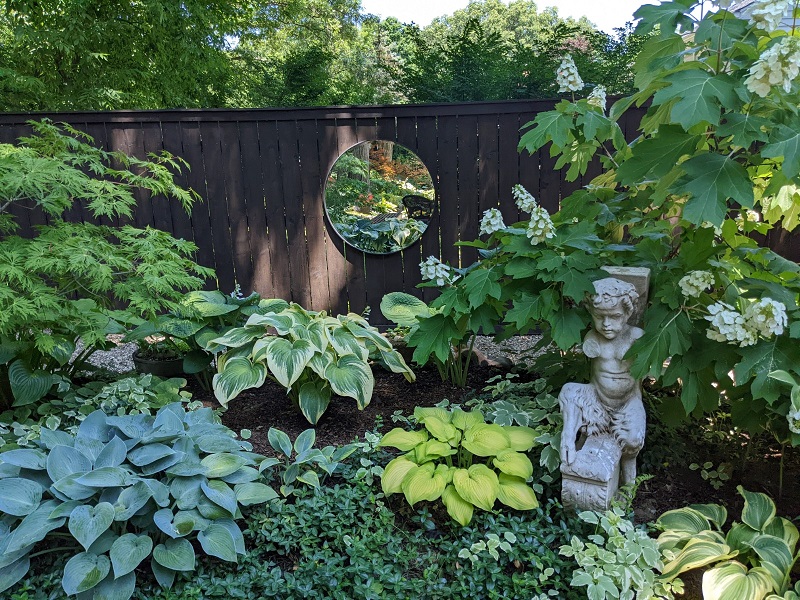 Smith-Reflections with peaceful hosta variety