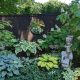 Smith-Reflections with peaceful hosta variety